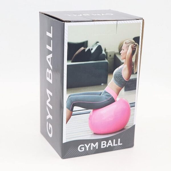 Premium PVC Gym Ball with Pump 55, 65, and 75 cm - Image 2