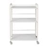3-Shelf Medical Trolley – Steel Frame with Wooden Shelves