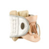 Cervical Traction Device - Air Traction