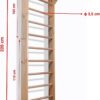 Physiotherapy Wall Ladder Physiotherapy Wall Ladder