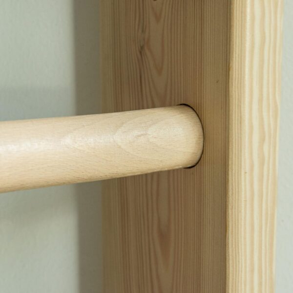 Physiotherapy Wall Ladder Physiotherapy Wall Ladder