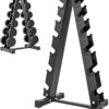 2026/05/4dac6888-bd97-4f9b-93ae-cf2693b903c1-1_all_7915.jpg Dumbbell Rack Stand (6 Pair Capacity)