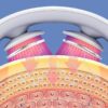 Electric Neck Massager Rechargeable Neck Therapy Device